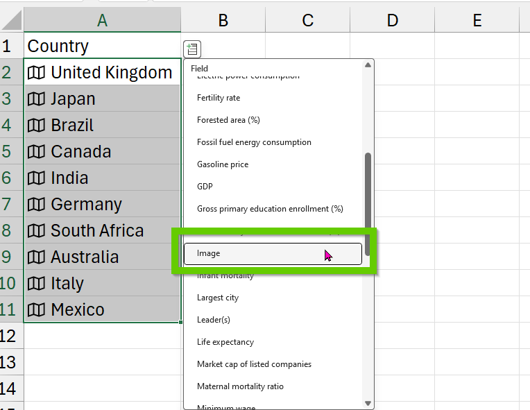 Green rectangle highlighting the image data type in Excel.