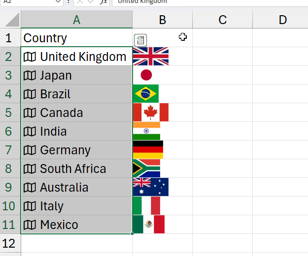 The completed Excel file with all the image data types showing the countries flag to the right of the country.